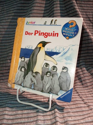 Der pinguin wieso - der, –