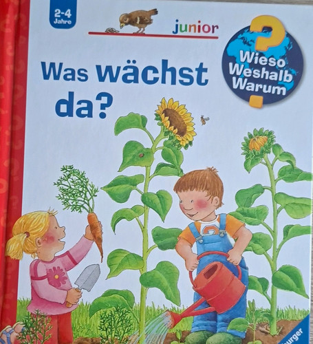 Wieso weshalb warum - wieso?, weshalb?